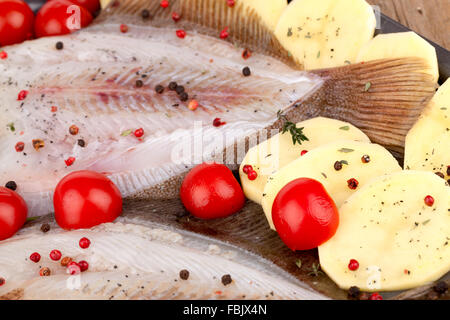 Nahaufnahme von dunkelhäutigen Turbot Fish Stockfoto