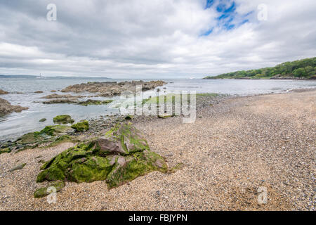 Einen kleinen Ausschnitt aus der Selbstabholermarkt-Strand im County Down in Nordirland Stockfoto