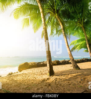 Sonnenaufgang am Sandstrand in der Nähe des Ozeans in Gala Stockfoto