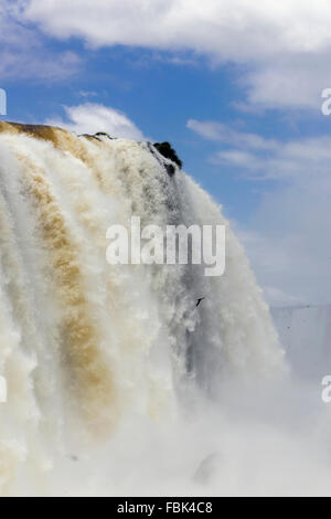 Die Nebel von Foz do Iguaçu mit altrosa Mauersegler, Blick von der Seite von Brasilien auf der argentinischen Seite Stockfoto