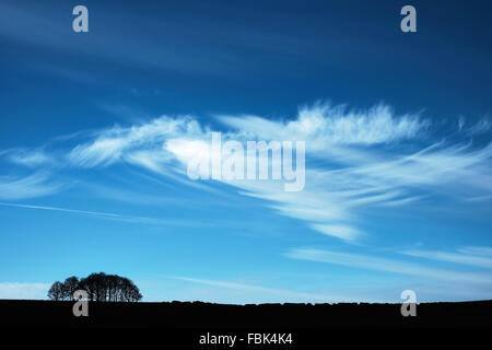 Skyline mit Mauer und Baum Silhouette gegen blauen Himmel mit dramatische Wolken Stockfoto