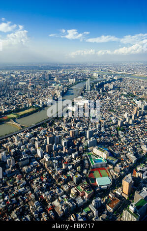 Die Vogelperspektive eines Teils des Tokyo Megacity aus Tokyo Sky Tree am Nachmittag in Tokio, Japan. Stockfoto