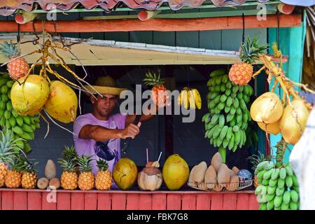 kaufen eine frische Ananas an einem Stand am Straßenrand tropische Früchte an einem regnerischen Tag in Vinales, Provinz Pinar Del Rio, Kuba Stockfoto