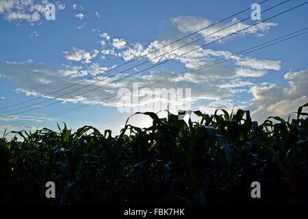 Abend-Himmel und Wolken-Formationen mit Silberstreifen in Vinales Provinz Pinar Del Rio in Kuba Stockfoto