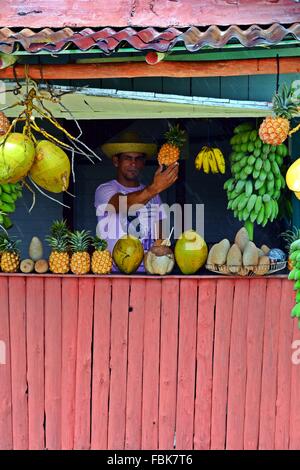 am Straßenrand Südfrüchte Stall an einem regnerischen Tag in Vinales, Provinz Pinar Del Rio, Kuba Stockfoto