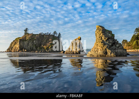 Ruby Beach in Olympic Nationalpark befindet sich im US-Bundesstaat Washington. Stockfoto