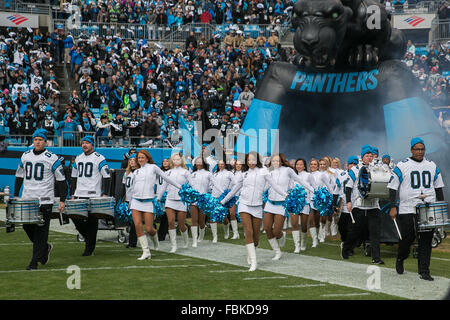 Charlotte, North Carolina, USA. 17. Januar 2016. Player-Einführungen bei Bank of America Stadium in Charlotte, North Carolina. Carolina Panthers gehen auf 31 bis 24 die Seattle Seahawks in der NFC Divisional Playoff zu gewinnen. Bildnachweis: Jason Walle/ZUMA Draht/Alamy Live-Nachrichten Stockfoto