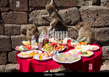 Affen essen Obst während der jährlichen "Affe Buffet" in der Provinz Lopburi, etwa 150 km nördlich von Bangkok. Mehr als 2.000 Kilo Stockfoto