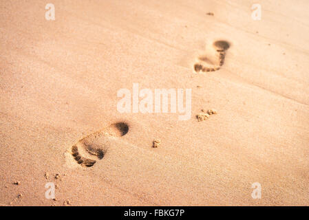 Menschliche Spuren im nassen Sand am Strand an einem sonnigen Tag Stockfoto