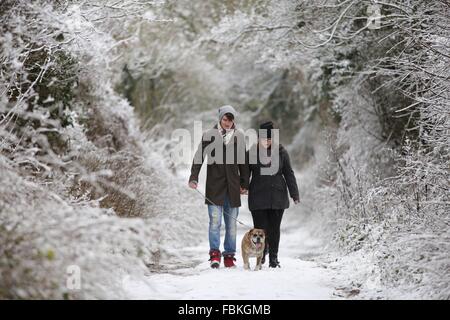 Ein junges Paar Fuß Hund auf einen verschneiten Weg auf den South Downs in Glyndebourne. 17. Januar 2016. Stockfoto