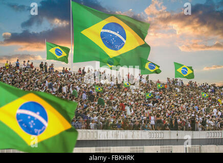 Illustration der brasilianischen Fans in einem Stadion Stockfoto