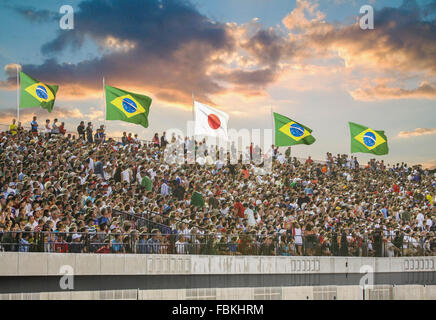 Illustration der brasilianischen Fans in einem Stadion Stockfoto