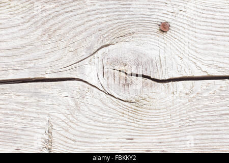 Weiße Holz Hintergrund Stockfoto