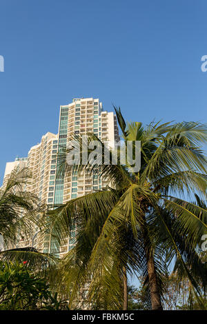 Jakarta-Hochhäuser am Danau Ancol, in der Nähe von Meer mit Coco Palm vor Stockfoto