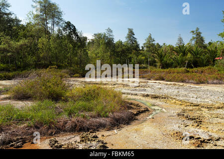 schwefelhaltige Seen in der Nähe von Manado, Indonesien, ursprünglicher Name: Wisata Hutan Pinus Dan Pemandian Air Panas Stockfoto