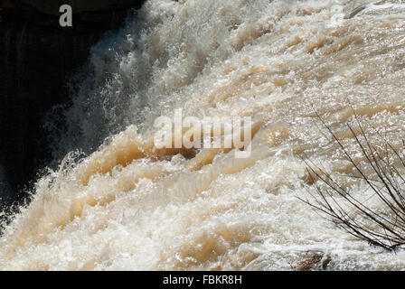 Kante der großen Schlammigen braunen Wasserfall Stromschnellen fließen und das Spritzen von links nach rechts in den Schatten, mit Niederlassungen auf der rechten Seite Stockfoto