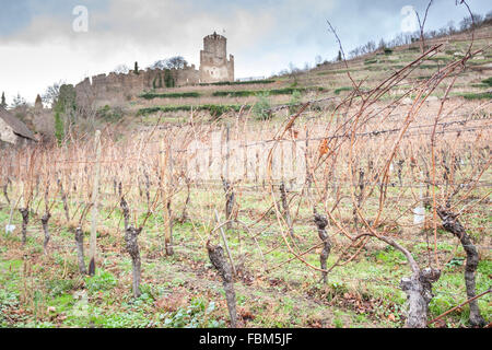 Weingut Bürger im Herbst. Kaysersberg, Elsass. Frankreich Stockfoto