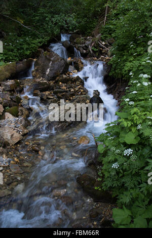 kleiner Wasserfall in einem bewaldeten Hügel in den Schweizer Alpen Stockfoto