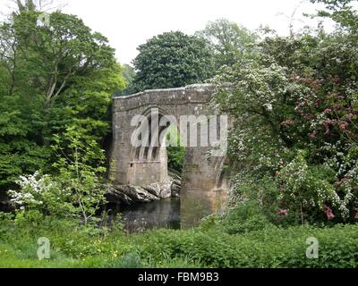 Teufelsbrücke, Kirkby Lonsdale, Cumbria Frühjahr blühen. Stockfoto