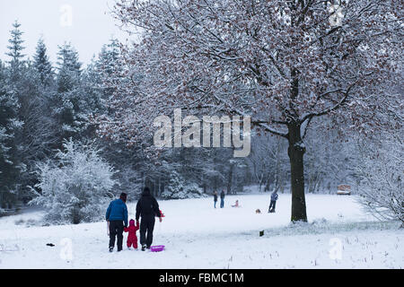 Mitglieder der Öffentlichkeit genießen Rodeln während Schneeverhältnissen, in Otley Chevin Waldpark in Otley, West Yorkshire. Stockfoto