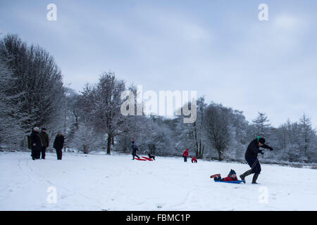 Mitglieder der Öffentlichkeit genießen Rodeln während Schneeverhältnissen, in Otley Chevin Waldpark in Otley, West Yorkshire. Stockfoto