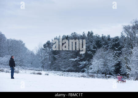 Mitglieder der Öffentlichkeit genießen Rodeln während Schneeverhältnissen, in Otley Chevin Waldpark in Otley, West Yorkshire. Stockfoto