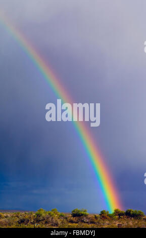 Rainbow, Arizona, Usa Stockfoto