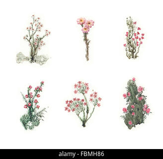 Schönes Märchen set bunte Aquarell Blumen. SET 2 Stockfoto