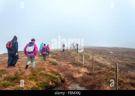 Wanderer im Nebel auf gemeinsamen Bergen hinter Ardara, County Donegal, Irland Stockfoto