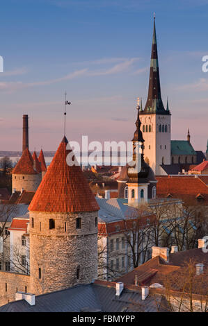 Old Town City View Tallinn Estland Stockfoto