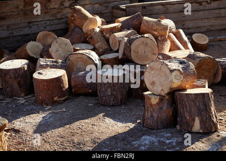 Brennholz Kiefer Hüfte in sibirischen Dorf Stockfoto