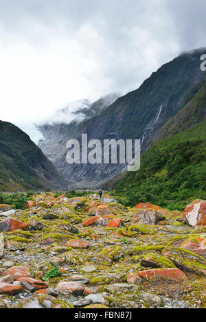 Wanderer in der Ferne auf dem Weg zum Fuß des Franz Joseph Gletschers. Franz Joseph Westküste, Südinsel, Neuseeland Stockfoto