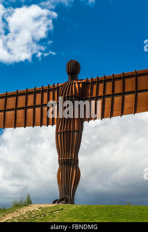 Engel des europäischen Nordens Anthony Gormley Gateshead Tyne and Wear Nordostengland UK Stockfoto