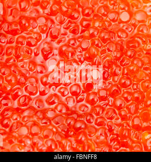 quadratische Essen Hintergrund - rot Lachs Fisch, rotem Kaviar hautnah Stockfoto