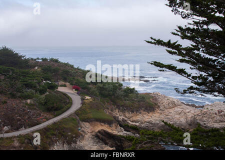 Ein Blick auf eine Fahrstraße entlang Highway 1 und dem Pazifischen Ozean Stockfoto