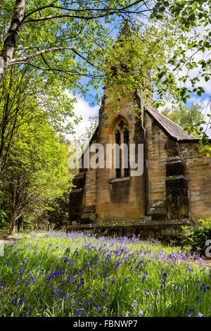 Frühling-Glockenblumen vor St. Mary Magdalene Kirche Osten Moors, in der Nähe von Kuhstall Bank, Bransdale Stockfoto