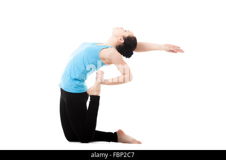 Sportliche Yogi Mädchen tun Fitness Übungen, Backbend, Asana Ustrasana (Ushtrasana, Camel Yoga Pose), isoliert auf weißem Hintergrund Stockfoto