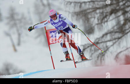 CORTINA D'AMPEZZO, Italien - 24. Januar 2014: Während der FIS Alpine Ski World Cup Women downhill-Rennen in Cortina d ' Ampezzo, Italien. Stockfoto