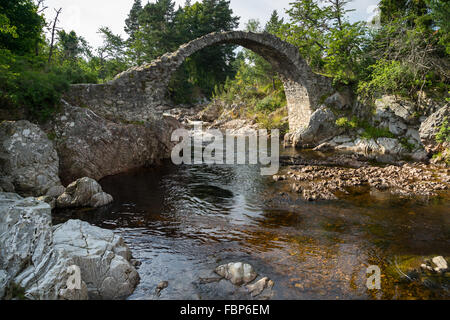 Der Lastesel-Brücke bei Carrbridge Stockfoto