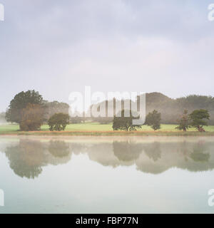 Foto aufgenommen von frühen Morgennebel über Blickling See in Norfolk Stockfoto