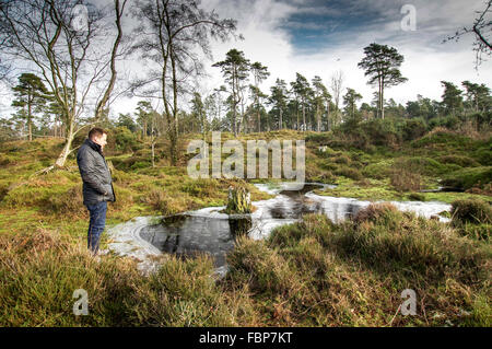 Mann, der von einem zugefrorenen Teich in der Nähe von Blackdown - South Downs National Park, Sussex, England Stockfoto