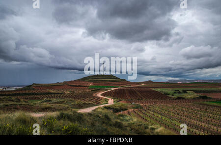 Weinbau-Region in Spanien Stockfoto