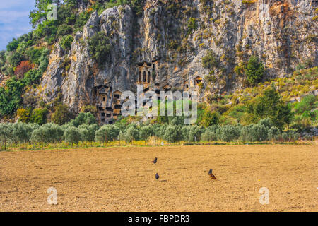 Lykischen Gräber in den Fels in Fethiye (Türkei) geschnitten. Tombeaux Lyciens Taillés Dans le Roc À Mugla Fethiye (Turkei) Stockfoto