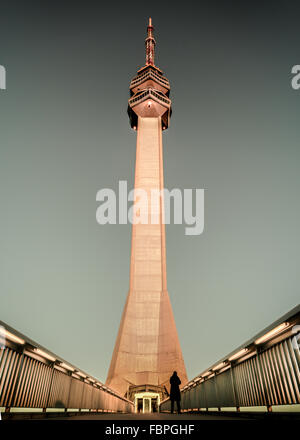 Brückenturm Stockfoto