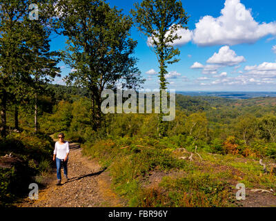 Frau zu Fuß in Devil es Punch Bowl, eine große natürliche Amphitheater und Ausflugsort in der Nähe von Hindhead Surrey England UK Stockfoto