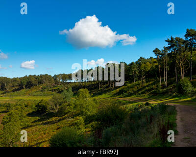 Des Teufels Bowle ein großes natürliches Amphitheater und Ausflugsort in der Nähe von Hindhead Surrey England UK mit alten A3 Straße nun einen Pfad Stockfoto