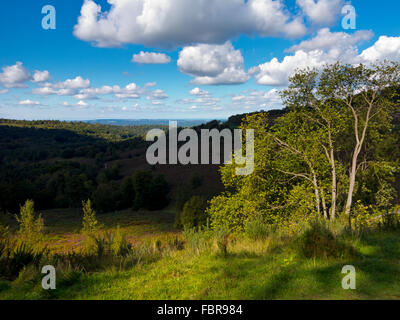 Bäume mit Blick auf des Teufels Bowle in der Nähe von einem großen natürlichen Amphitheater und Ausflugsort Hindhead Surrey England UK Stockfoto