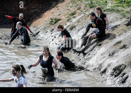 Läufer an hindernisparcours Rennen, Großbritannien Stockfoto