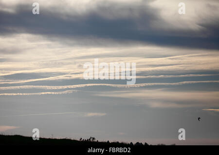 Wanderwege vom Flugzeug in den Himmel verlassen. Stockfoto