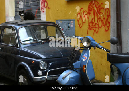 Katze & Fiat Auto und Roller, Rom Italien Stockfoto